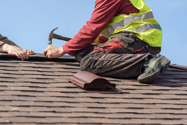 Best Roof Repair Services  in Hampton, IA