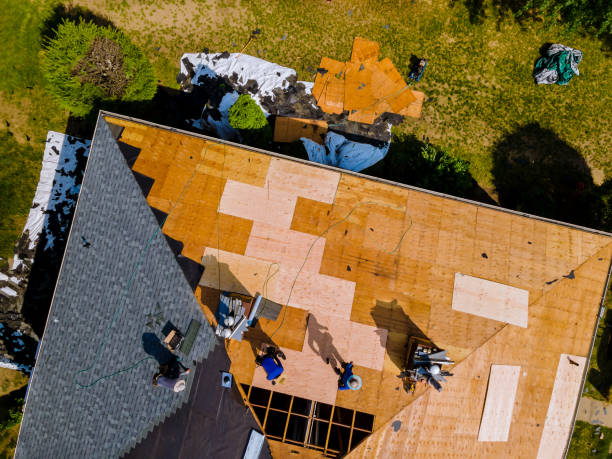 Best Roof Leak Repair  in Hampton, IA